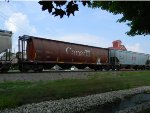 CN 109091 is new to RRPA!